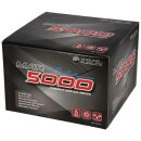 MAR5000 - 1BB Sea Ree mit 20lb Red Line Schnur