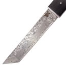 Tanto Tramuntana H0077