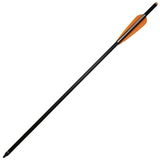Carbon Armbrustbolzen 22"