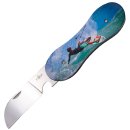 Taschenmesser KITESURFER N119J